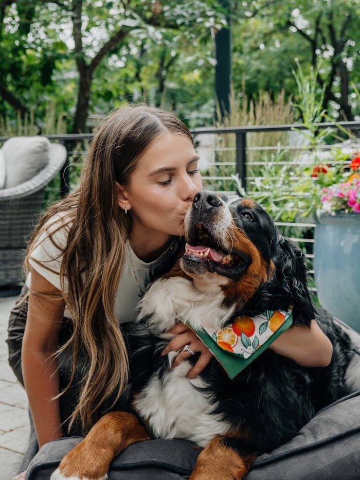 Home Capture of a loving moment between a brunette woman and a Bernese mountain dog on a patio.