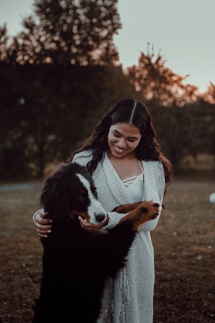 A young woman joyfully embraces her Bernese Mountain Dog at sunset in a park, illustrating love and companionship.